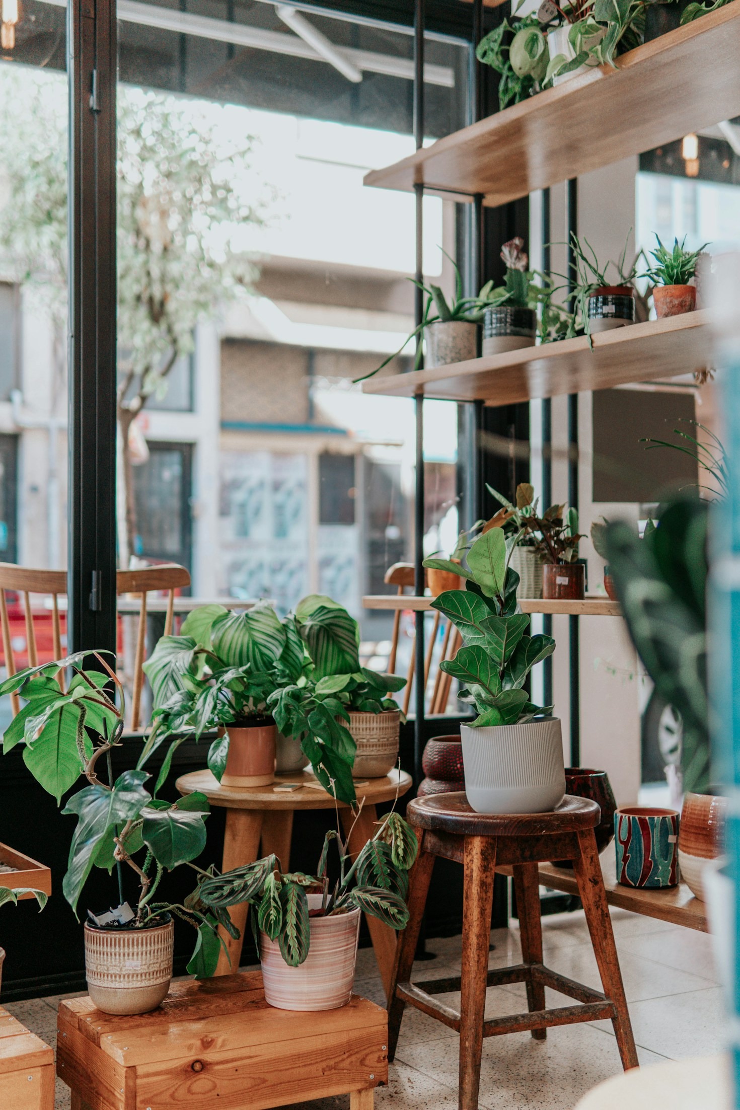 The Role of Ambient Sound in Gardening